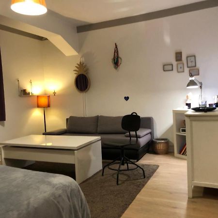 Chambre Independante Aux Pied Des Pyrenees Billere Zewnętrze zdjęcie